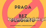 Zawodowe Pisanie i Redagowanie Prac - Bez Plagiatu